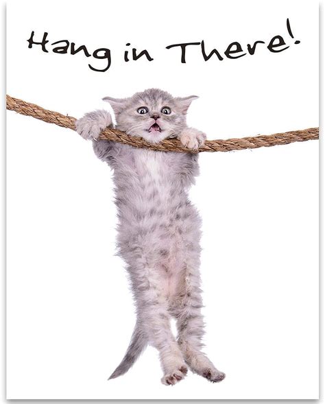 hang in there images.